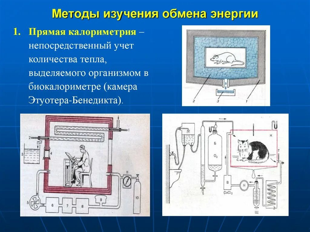 Метод изучения обмена энергии. Методы изучения обмена энергии. Изучение обмена веществ метод. Методы исследования обмена энергии организма. Методы определения обмена веществ.