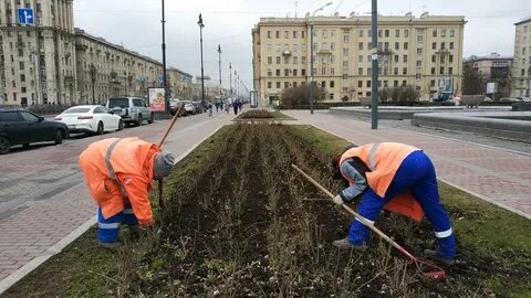 Уборка спб исправимо