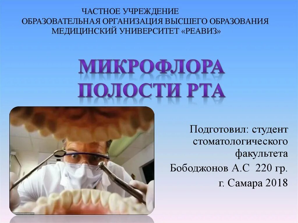 Микроорганизмы полости рта. Микробиоценоз полости рта микробиология. Vbrhjakjhмикрофлора полости рта. Микрофлора полости рта микробиология. Микрофлора полости рта презентация.