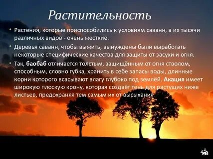 Приспособление животных в саванне