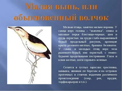 Красная книга нижегородской