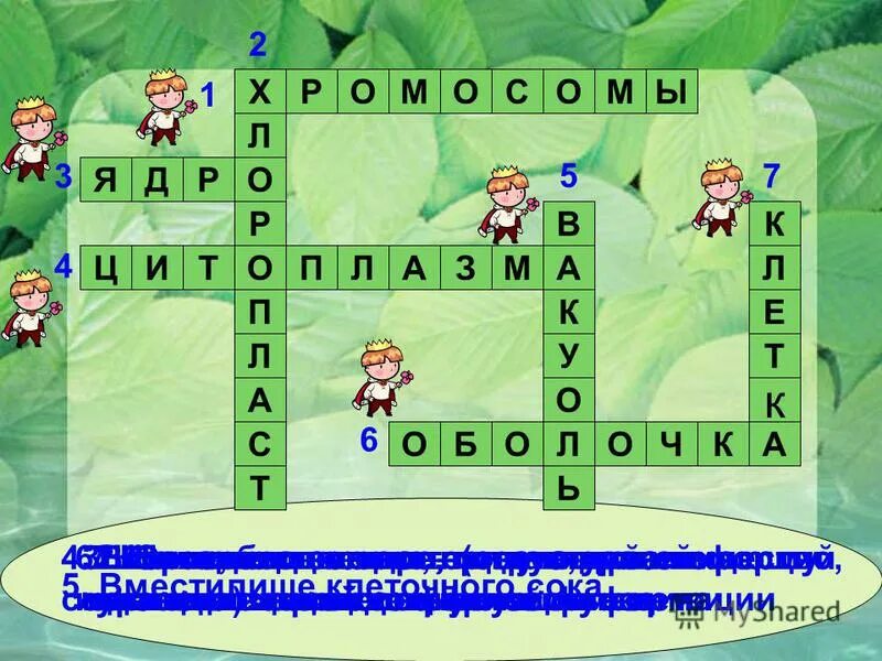 Строение клетки 5 класс биология кроссворд. Кроссворд на тему клетка по биологии 5 класс. Кроссворд наитему клетка. Кроссворд на тему клетка. Кроссворд живые организмы 5 класс