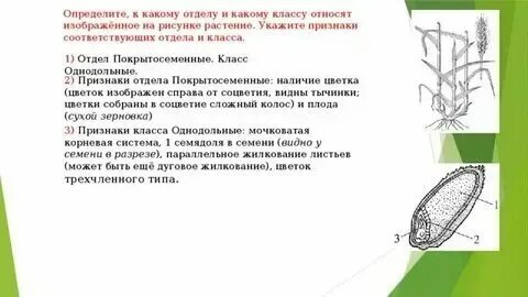 А как к какому классу. А как к какому классу