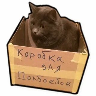 Нажми на коробку