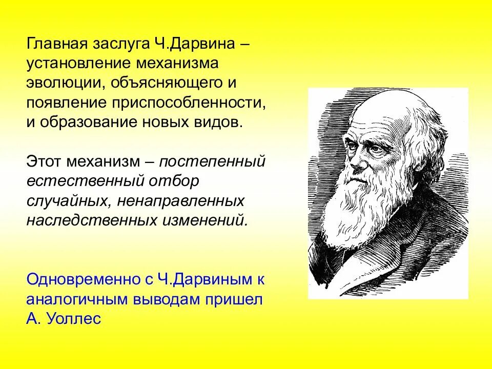 Значение эволюционных идей. Идеи Чарльза Дарвина об эволюции. Становление эволюционной теории Чарльза Дарвина. Ч Дарвин основные идеи.