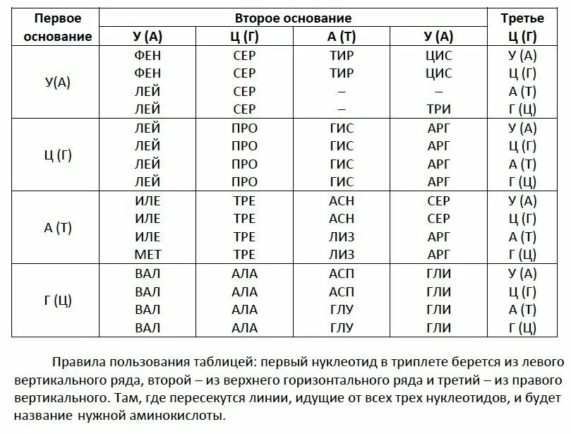 Генетический код и рнк таблица. Ген генетический код. Таблица триплетов генетического кода и рнк. Ген генетический код. Ген триплет кодон.