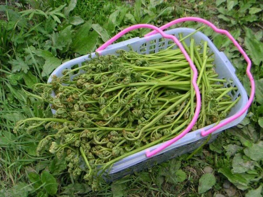 Как выглядит собранный