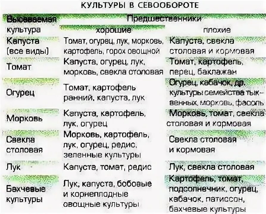 Какие культуры после чего сажать. После каких культур сажать огурцы весной. Лучшие предшественники для посадки. Предшественники капусты. Таблица севооборота овощных культур и сидератов.
