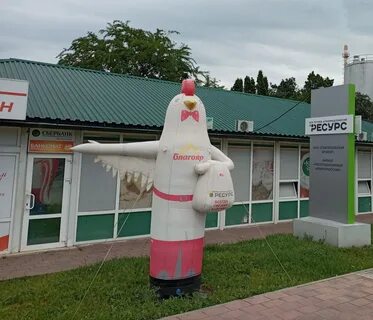 Птицефабрика сальмонелла