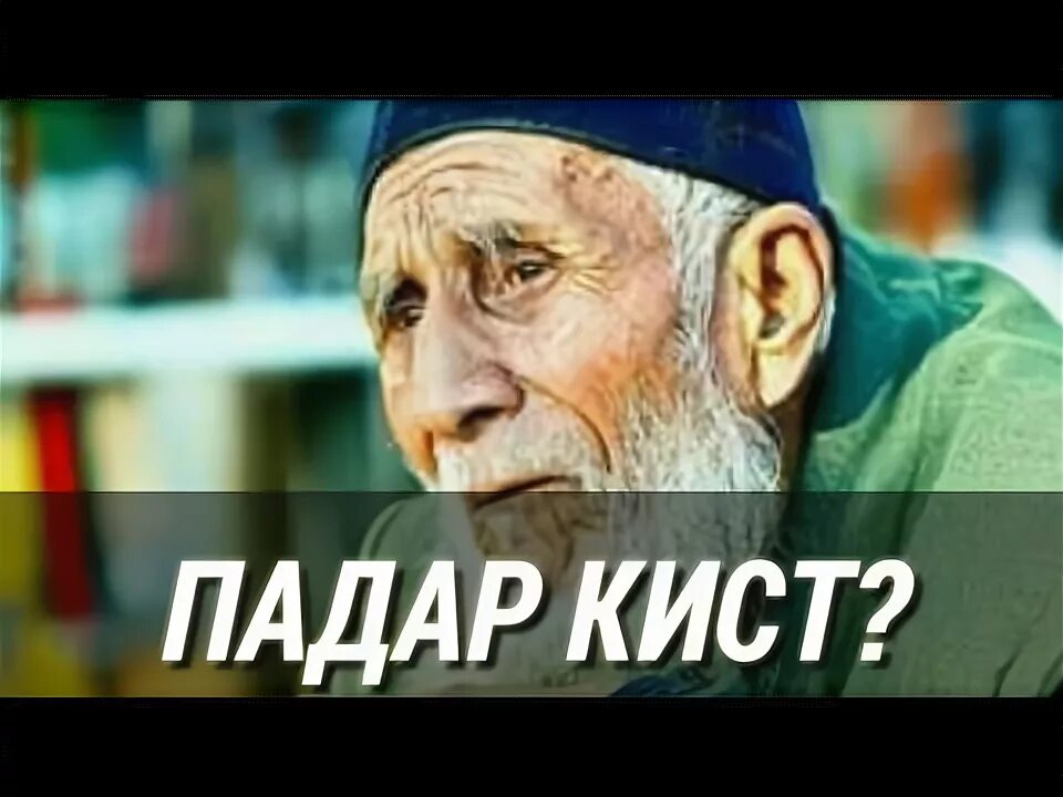 Падар шер. Картинка барои падар. Шер падар. Кадри падар. Табрикнома падар.