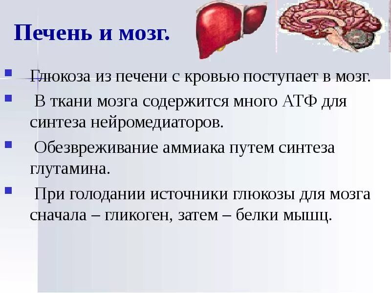 Печень повышает сахар