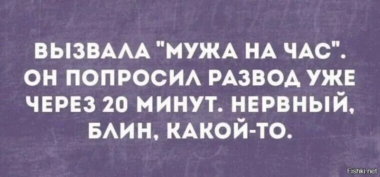 Давай через час. Вызвала мужа на час. вызвала мужа на час через 20 минут. вызвала мужа на час анекдот. анекдот про мужа на час.