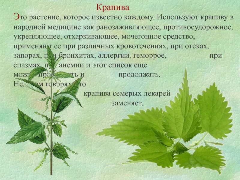 Использующие народную медицину