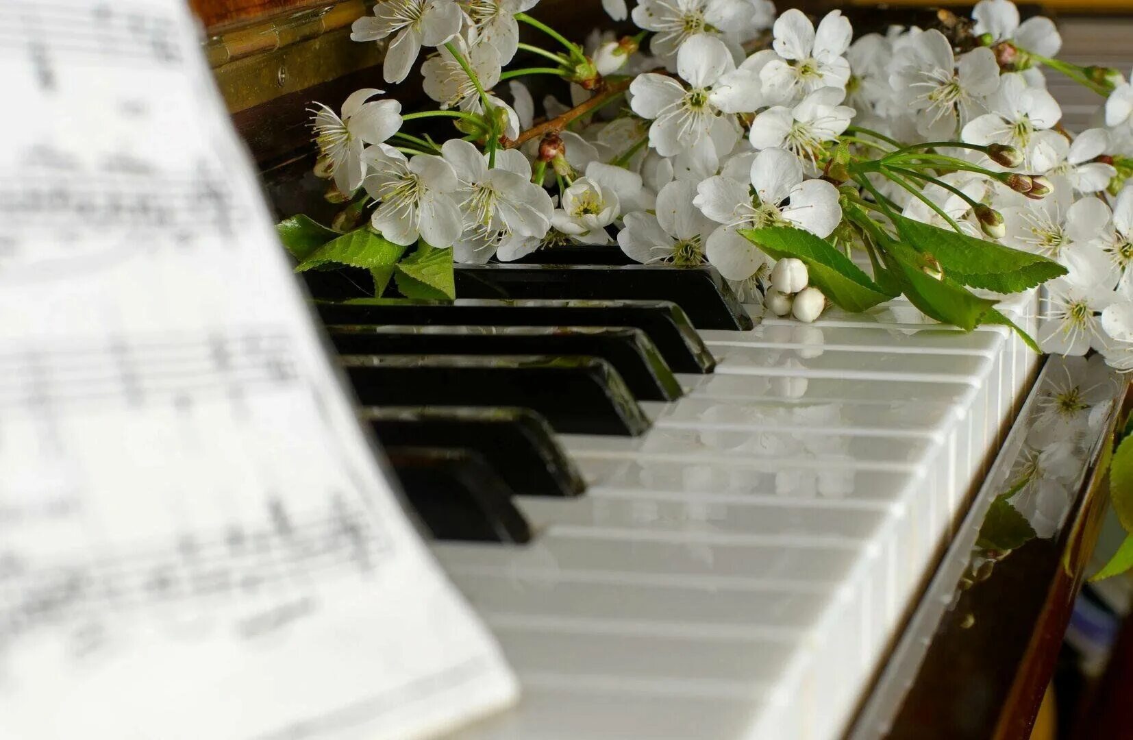 Цветы на пианино. Цветы на рояле. Фортепьяно и весенние цветы. Пианино с цветами. На клавишах тургенева