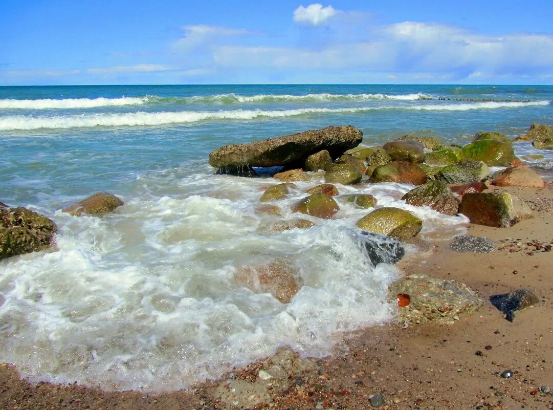 Балтийский берег калининградская область. Балтийское море Калининград. Балтийский берег Калининград. Побережье Балтики Калининград. Берег Балтийского моря Зеленоградск.