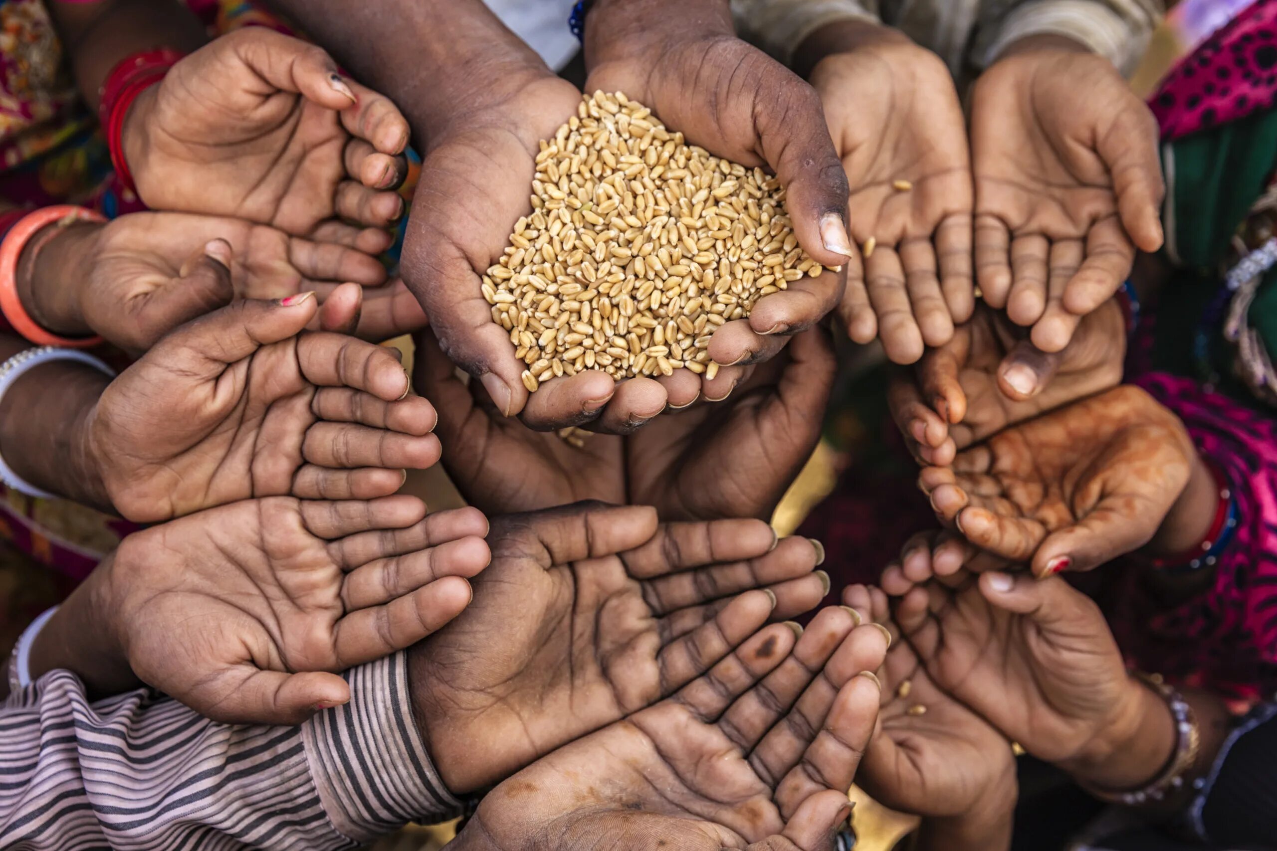 Голод hunger. Глобальная продовольственная проблема.