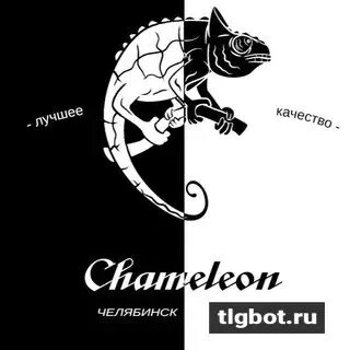 Хамелеон 2020
