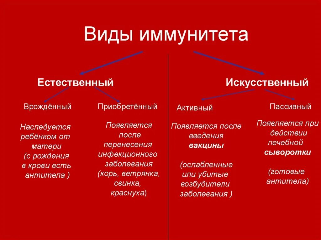 Какие внутренние различия существуют. Типы иммунитета схема. Виды иммунитета у человека Естественные и искусственные. Классификация иммунитета микробиология. Основные виды иммунитета таблица.