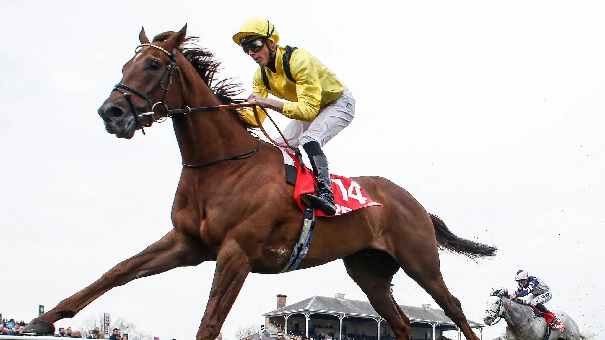 Le jockey