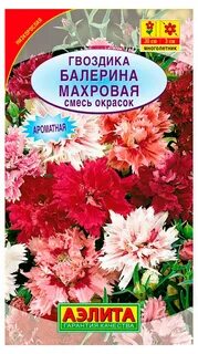Гвоздика многолетняя семена