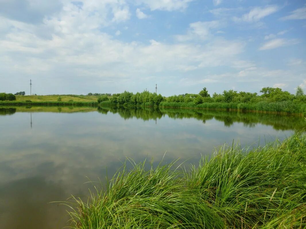 Река хопер бековский район. Сурское водохранилище алферьевка. Сурский край пензенская область. Сурский монастырь сура. Крае сурском.