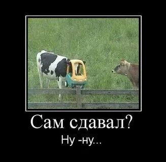 Сама сдам