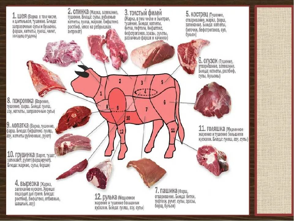 Кострец мясо говядина схема. Говядина схема разделки туши часть фарш. Схема разруба говядины. Части туши свиньи.