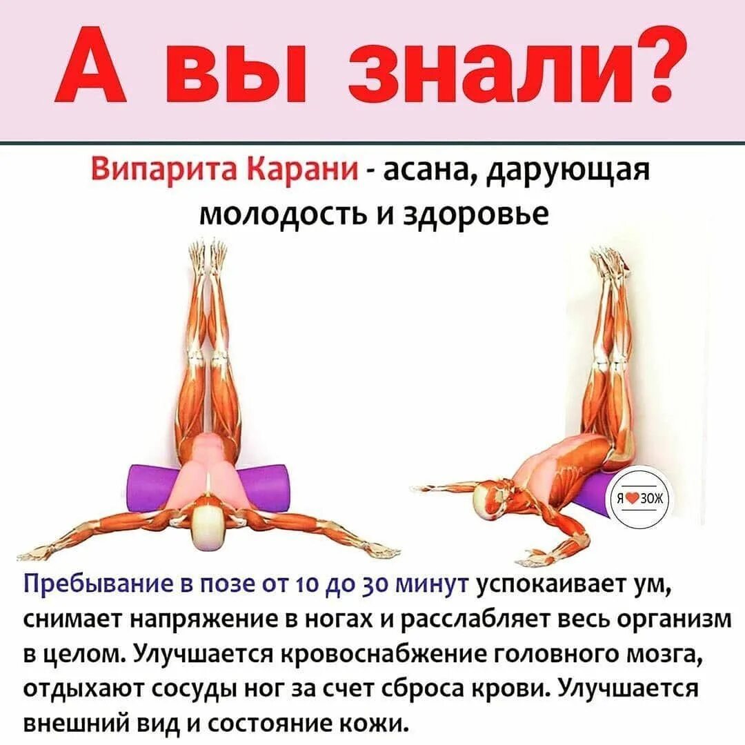 Поза польза и вред. Поза польза и вред. Бакасана йога. Паршва сукхасана. Асана халасана.