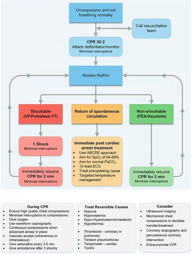 Advanced support. Als алгоритм. advanced life support алгоритм. cpr algorithm. itls осмотр алгоритм.