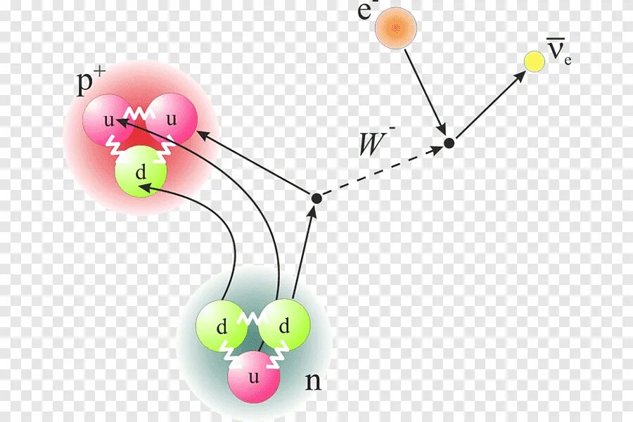 Бета распад в кварках. Схема распада свободного нейтрона. Бета распад нейтрона. Превращение Протона в нейтрон.