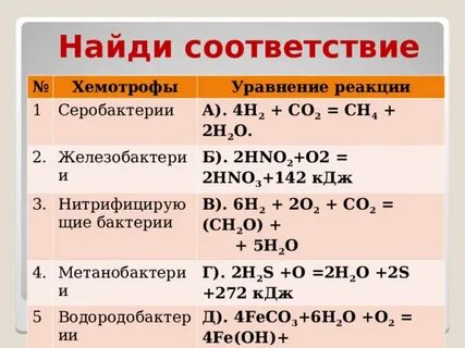Реакция хемосинтеза
