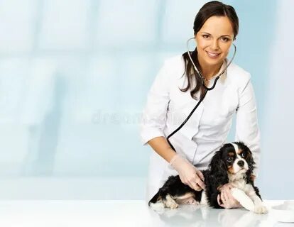 Helen is a vet use