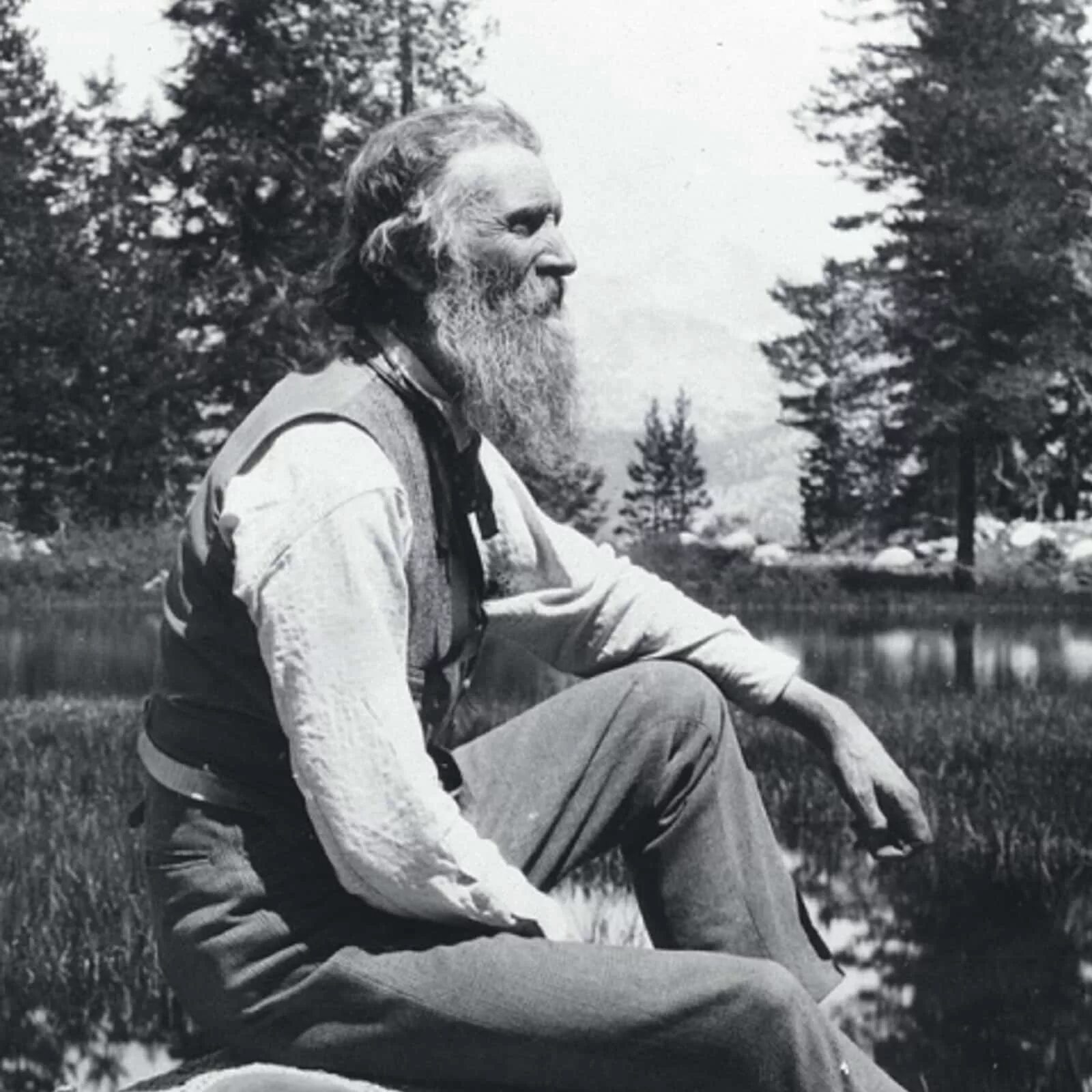 Мьюр, Джон (натуралист). John Muir. Естествоиспытатель Джон Мьюир. Гилкрист Мьюир.