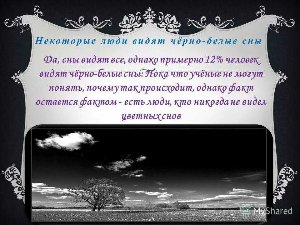 Чёрно-белые сны. Черно белые сны. Почему сны чёрно белые. Цветные и чёрно белые сны. Каждому человеку снятся сны