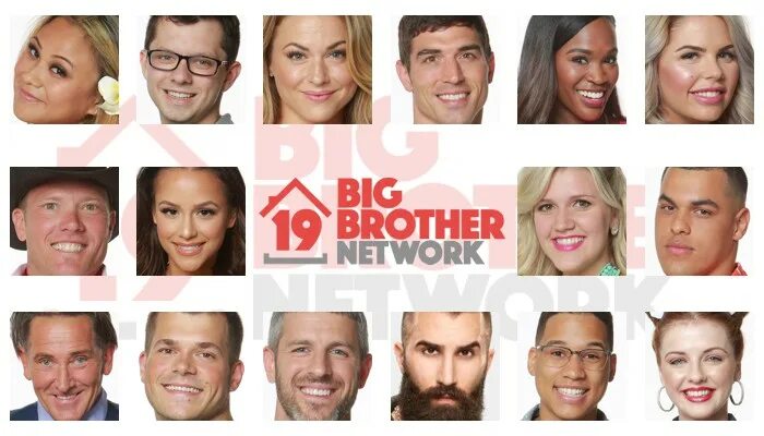 Big brother Network. Бротхер 19. Big brother 2023 Cast USA. Big brother 19 adultcomiks.