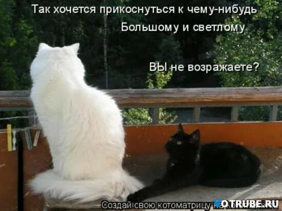 Хочется новенького