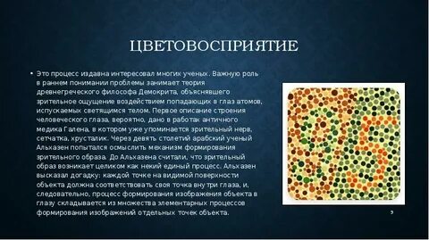 Развитие цветовосприятия
