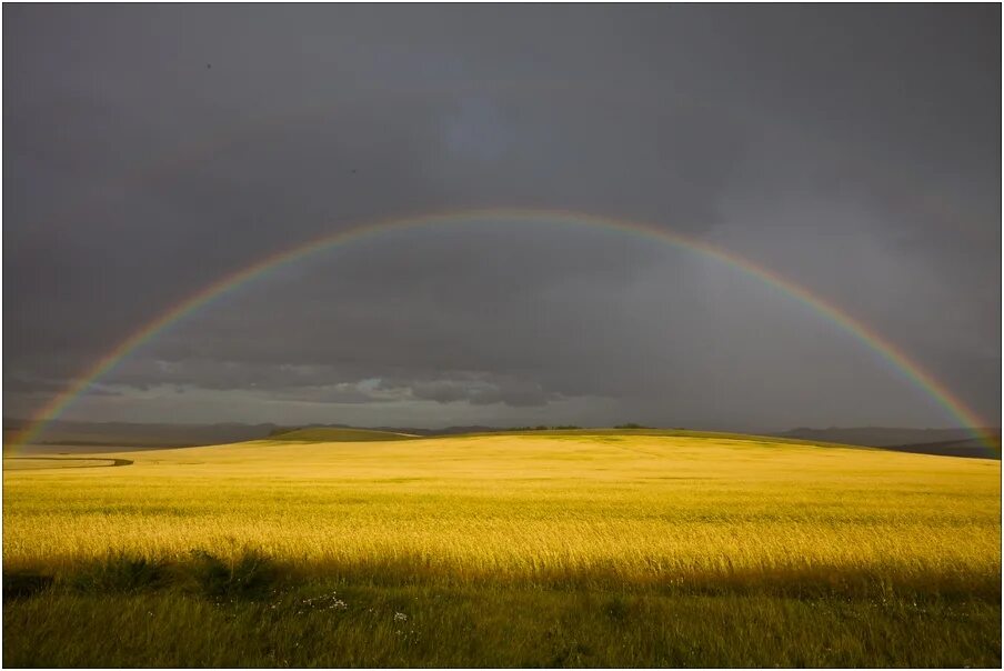 Радуга мск интернет. Картинная галерея самара радуга. Квц радуга самара. Галерея радуга. Галерея радуга.