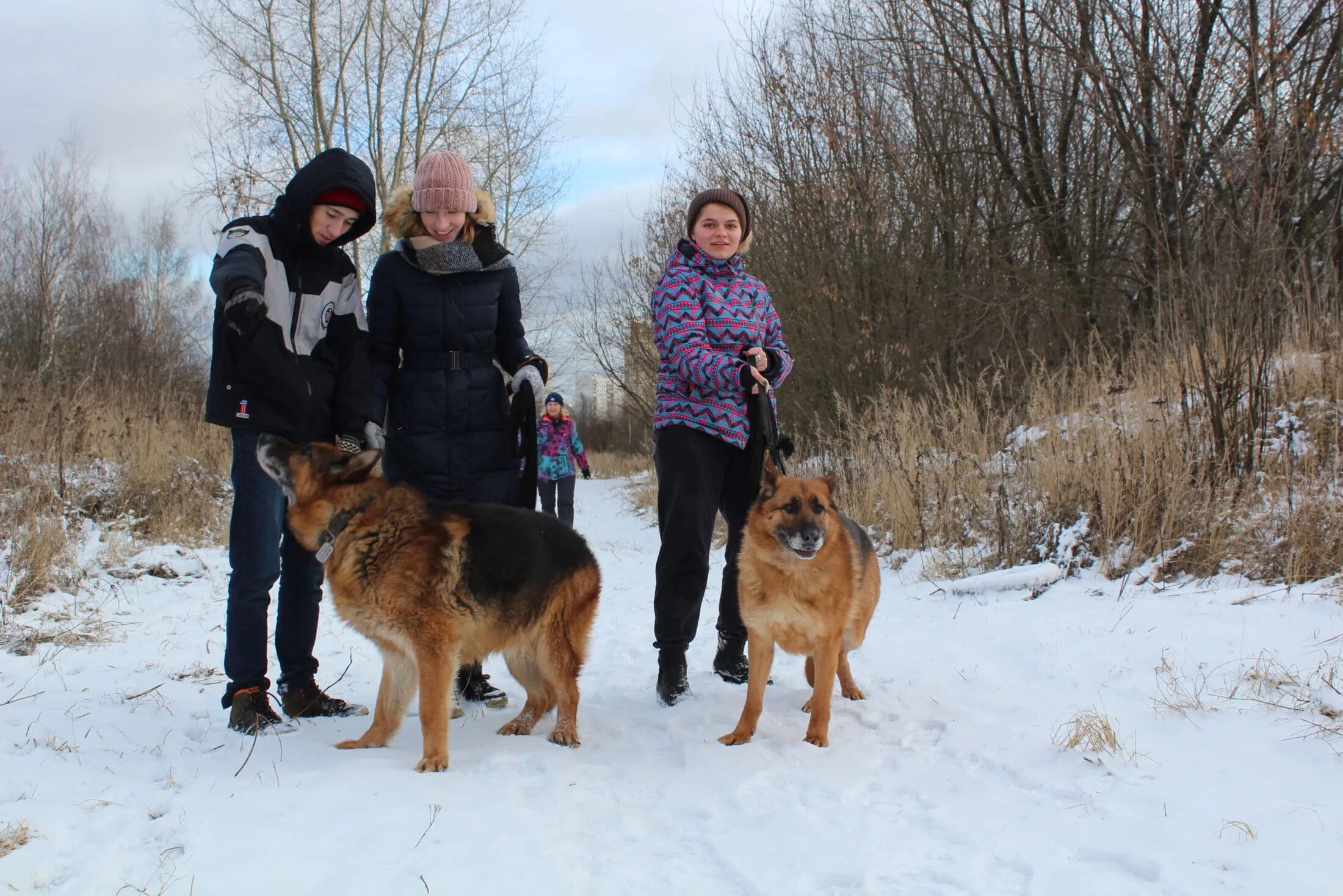 Приют юао. Приют для мальчиков орехово борисово. Приют бирюлево для собак. Приют бирюлево для собак. Приют бирюлево.