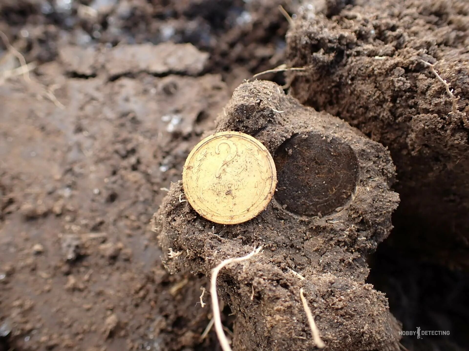 находки 2023 года