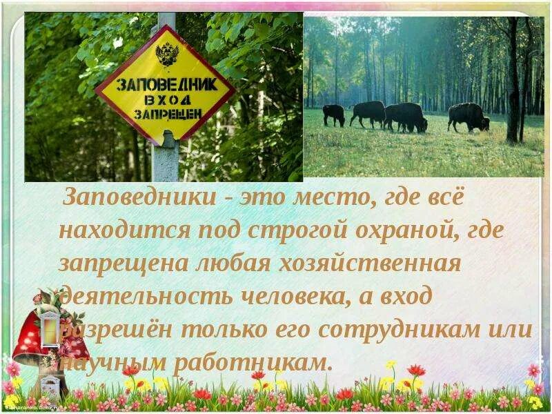 Заповедник такой то. Заповедник. заповедники презентация. охрана природы заповедники.