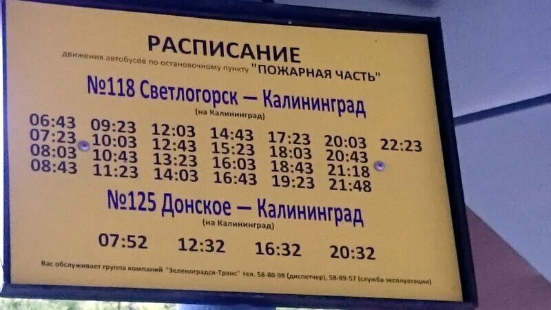 587 автобус расписание балтийск зеленоградск