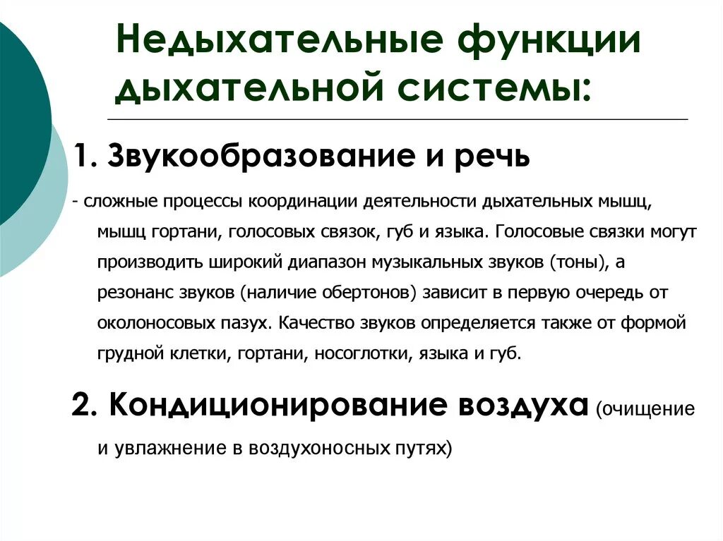 Каковы функции дыхания. Функции дыхательной системы. Недыхательные функции легких. Дыхательные и Недыхательные функции дыхательной системы. Функции легких физиология.