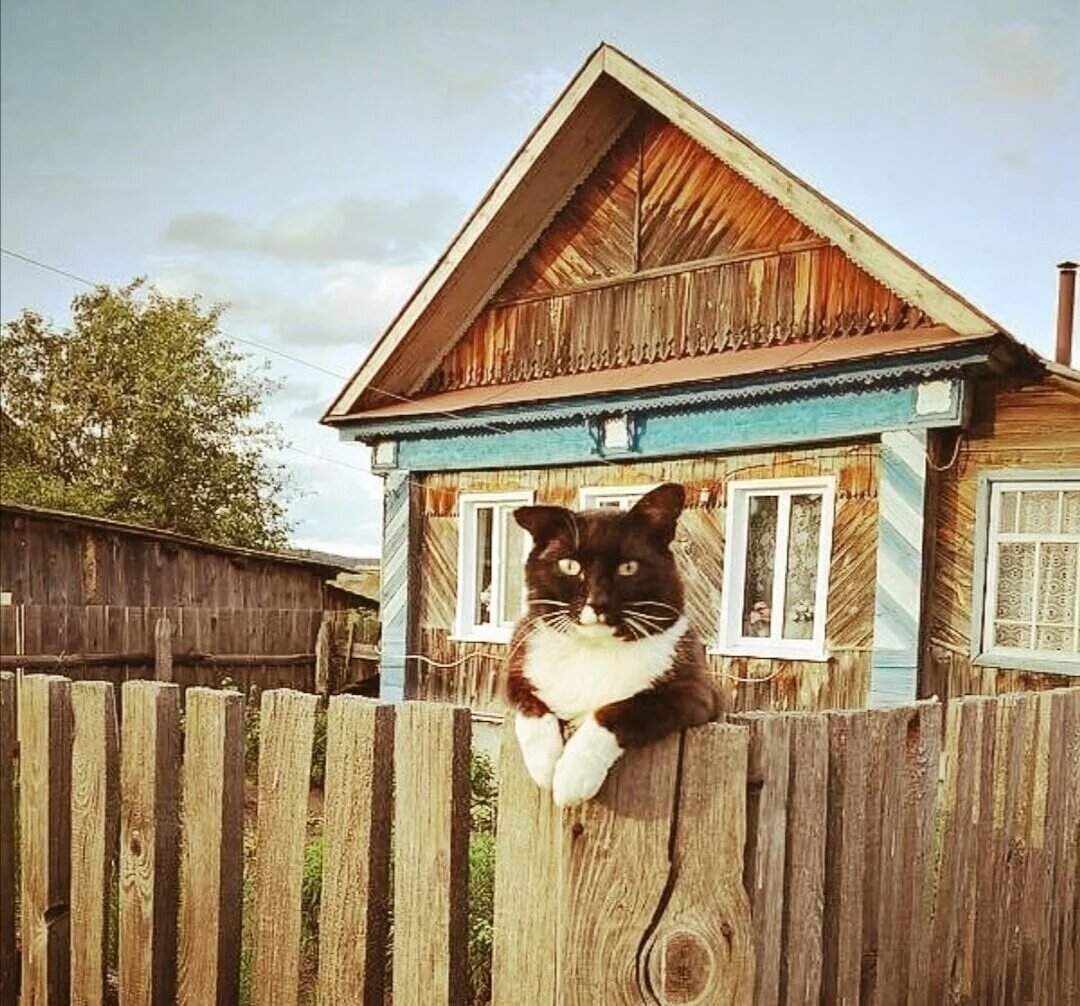 У меня есть деревня