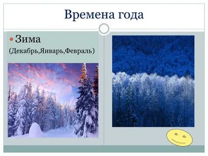 Декабрь январь февраль 113