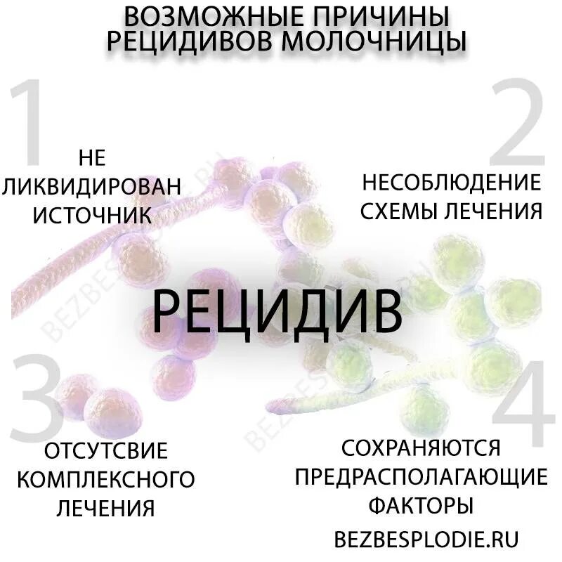 Молочница причины симптомы лечение. Молочница причины симптомы лечение