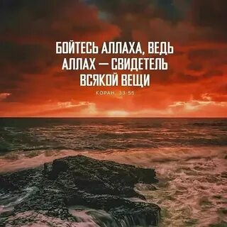 Цитаты со смыслом мусульманские про