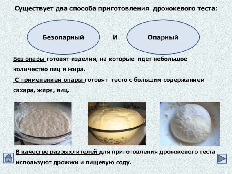 Сколько подходят дрожжи. Опарный способ приготовления теста. Изделия из теста опарным способом. Способы приготовления дрожжевого теста. Дрожжевое тесто опарное и безопарное.