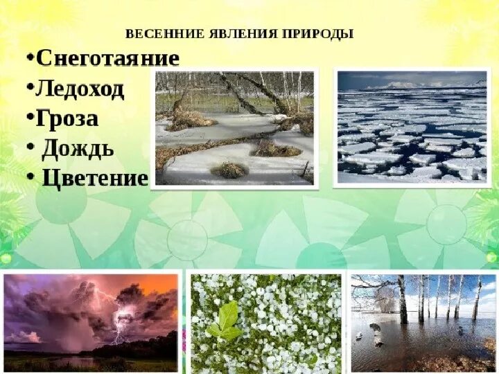 Примеры весенних явлений живой природы 2 класс. Весенние явления в неживой природе. Природные явления весной. Весенние сезонные явления в природе. Сезонные явления в природе весной.