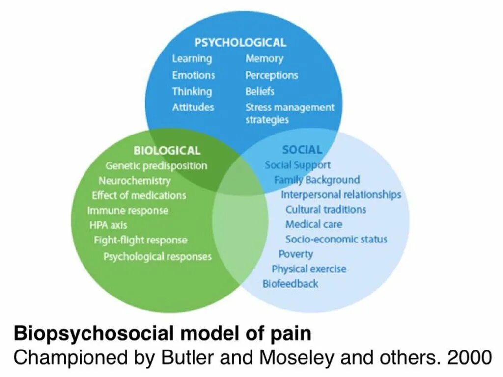 Psychosomatic Biopsychosocial. Socio-psychological. Psychology Learning. Pain Management Strategy.